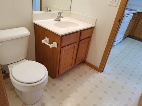 1207 Burns Ln, Minooka, IL 60447 photo 5