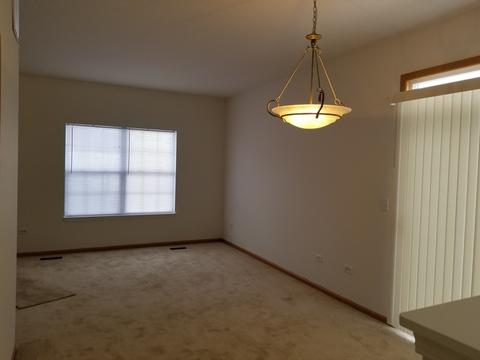 1207 Burns Ln, Minooka, IL 60447 photo 3