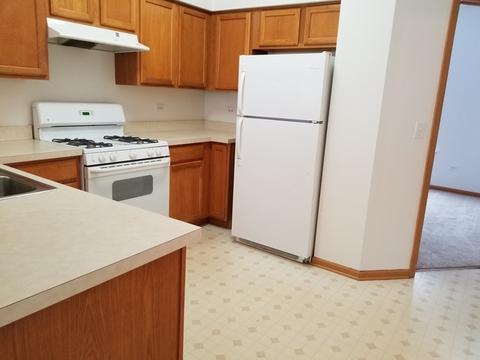 1207 Burns Ln, Minooka, IL 60447 photo 4