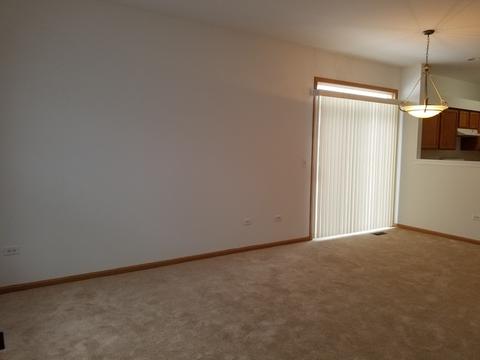 1207 Burns Ln, Minooka, IL 60447 photo 2