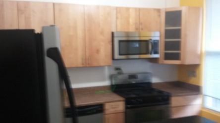 4925 S Champlain Ave, Chicago, IL 60615 photo 22