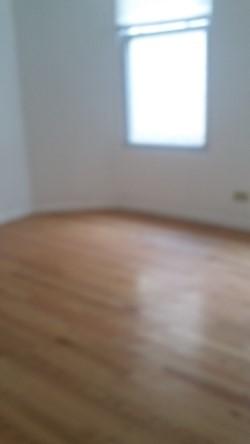 4925 S Champlain Ave, Chicago, IL 60615 photo 9