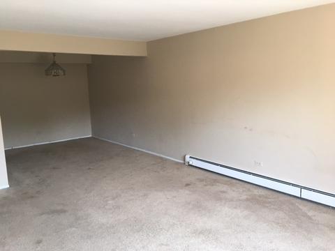 3519 E Central Rd #103, Glenview, IL 60025 photo 8