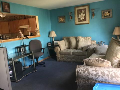 798 Symphony Dr, Aurora, IL 60504 photo 14