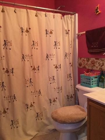 798 Symphony Dr, Aurora, IL 60504 photo 5