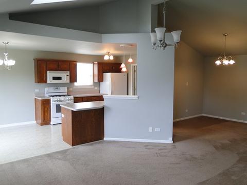 4707 Osprey Ln, Plainfield, IL 60586 photo 9