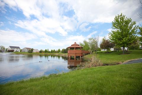 7805 Springside Dr, Plainfield, IL 60586 photo 46