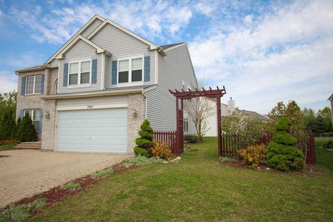 7805 Springside Dr, Plainfield, IL 60586 photo 3