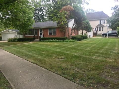 262 E Cayuga Ave, Elmhurst, IL 60126 photo 4