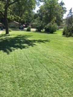 14936 Kostner Ave, Midlothian, IL 60445 photo 2