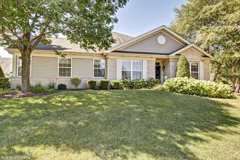 21345 W Conifer Dr, Plainfield, IL 60544 photo 1