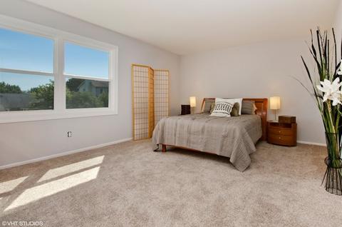 500 W Parkview Ter, Algonquin, IL 60102 photo 17