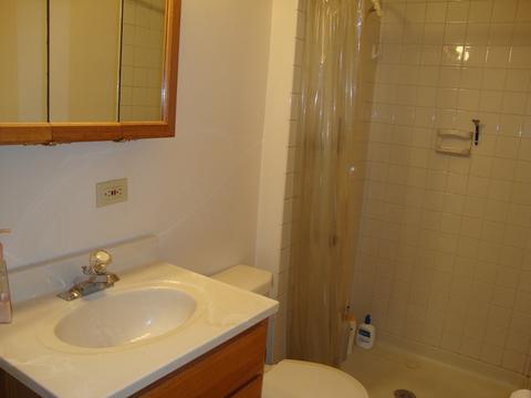 905 Ash Rd, Hoffman Estates, IL 60169 photo 11