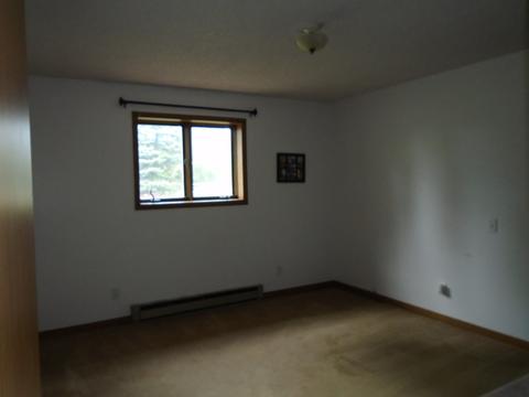 3912 E 550th Rd, Mendota, IL 61342 photo 16