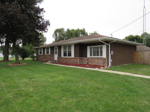 1015 W Eureka St, Braidwood, IL 60408 photo 27