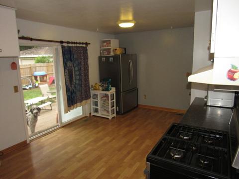 1015 W Eureka St, Braidwood, IL 60408 photo 14
