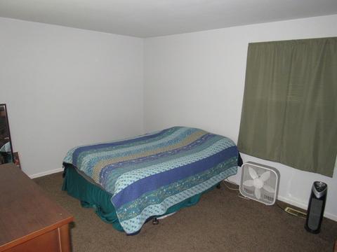 1015 W Eureka St, Braidwood, IL 60408 photo 17