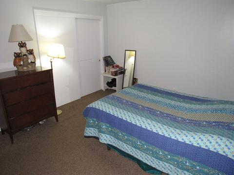 1015 W Eureka St, Braidwood, IL 60408 photo 18