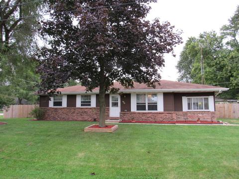 1015 W Eureka St, Braidwood, IL 60408 photo 1