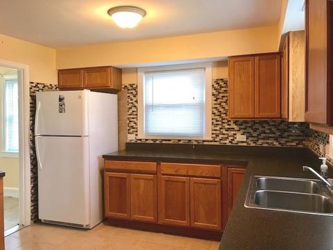 868 S Spring Rd, Elmhurst, IL 60126 photo 4