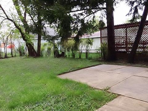 868 S Spring Rd, Elmhurst, IL 60126 photo 14