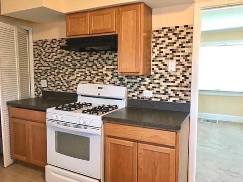 868 S Spring Rd, Elmhurst, IL 60126 photo 6