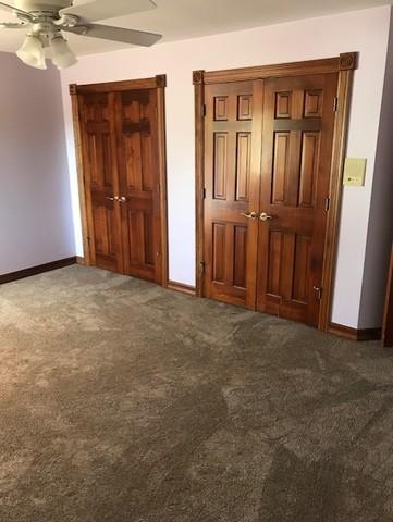 16065 Renwick Park Dr, Plainfield, IL 60586 photo 23