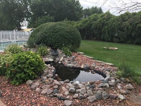 16065 Renwick Park Dr, Plainfield, IL 60586 photo 7