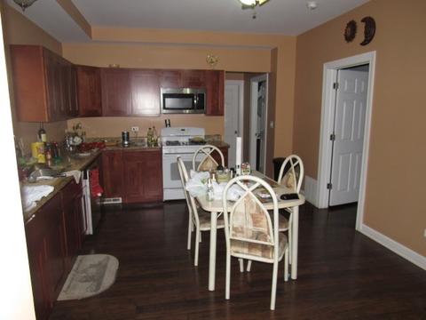 362 Wilcox Ave, Elgin, IL 60123 photo 6