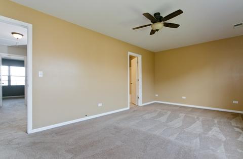 25915 Derby Dr, Monee, IL 60449 photo 18