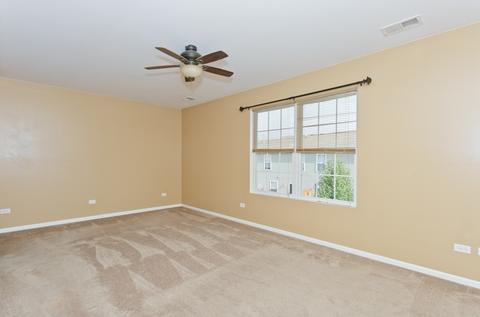 25915 Derby Dr, Monee, IL 60449 photo 19