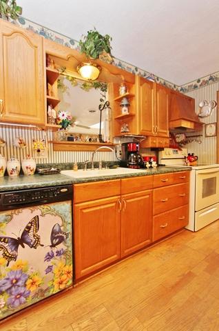 2565 Meadow Dr, Morris, IL 60450 photo 26