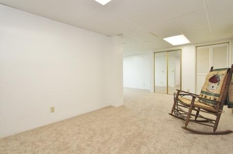 2565 Meadow Dr, Morris, IL 60450 photo 36