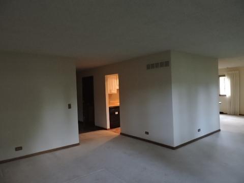 720 Carlton Dr, Elgin, IL 60120 photo 4