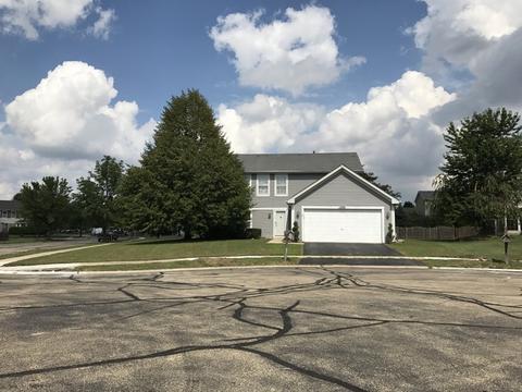 13761 S Kendall Dr, Plainfield, IL 60544 photo 1