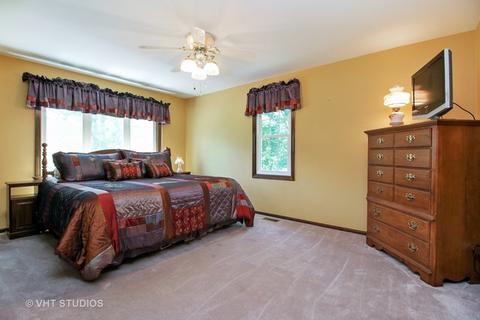 6565 W Dralle Rd, Monee, IL 60449 photo 8