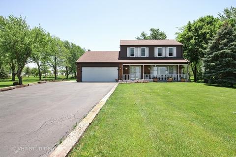 6565 W Dralle Rd, Monee, IL 60449 photo 16