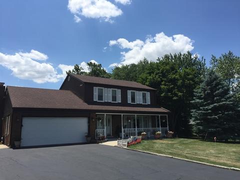 6565 W Dralle Rd, Monee, IL 60449 photo 30