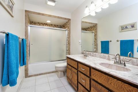 6565 W Dralle Rd, Monee, IL 60449 photo 13