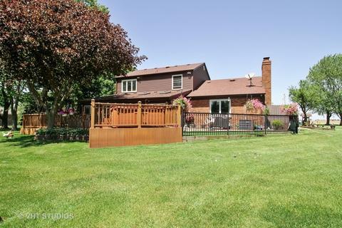 6565 W Dralle Rd, Monee, IL 60449 photo 17