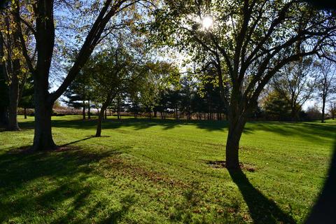 6565 W Dralle Rd, Monee, IL 60449 photo 28