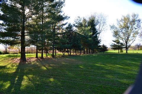 6565 W Dralle Rd, Monee, IL 60449 photo 29