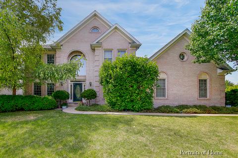24242 Eagle Chase Dr, Plainfield, IL 60544 photo 1