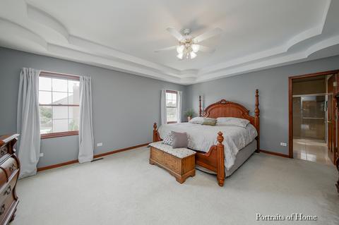 24242 Eagle Chase Dr, Plainfield, IL 60544 photo 14