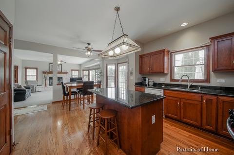 24242 Eagle Chase Dr, Plainfield, IL 60544 photo 7