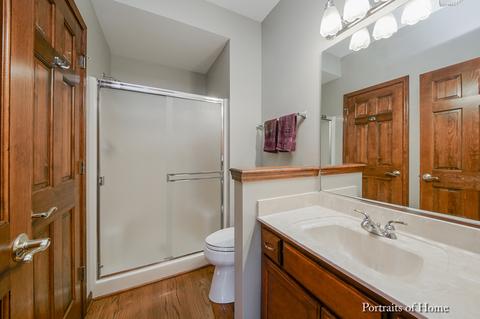 24242 Eagle Chase Dr, Plainfield, IL 60544 photo 12