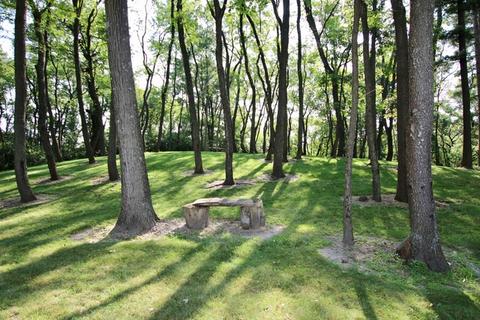 3102 Paulson Rd, Harvard, IL 60033 photo 41