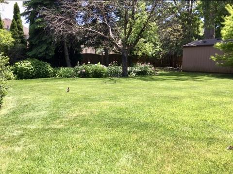 2215 Douglas Ave, Des Plaines, IL 60018 photo 20
