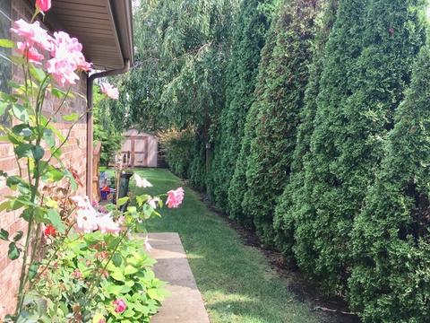 2215 Douglas Ave, Des Plaines, IL 60018 photo 18