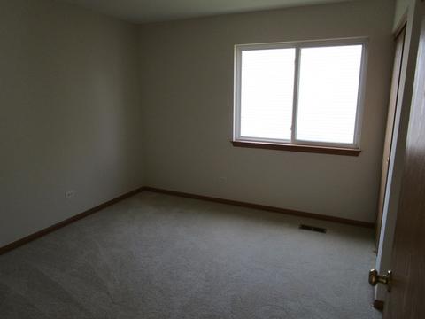 6919 Sahara Dr, Plainfield, IL 60586 photo 15